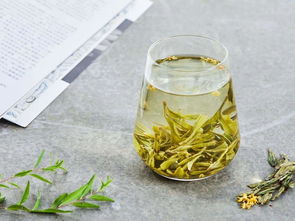 西湖龙井是什么茶你了解吗