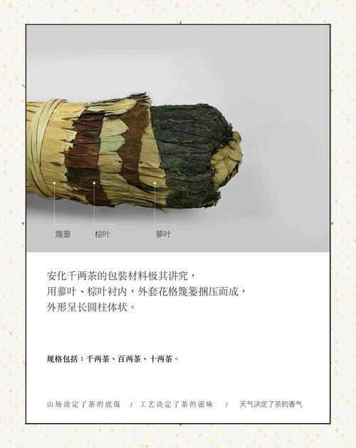 湖南千两茶 茶叶中的“黑金”——千湖香韵，时光淬炼的传奇