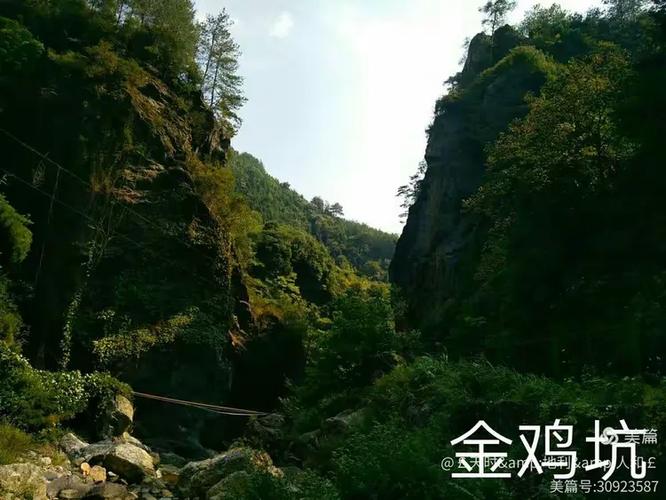 南金千湖香 茶汤里浮起的人情江湖