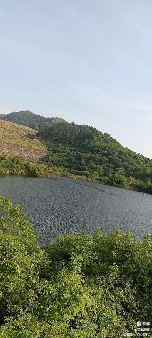 路向东西连四海,桥飞南北奔康庄.千湖养殖鱼腾跃,万岭开荒果已香
