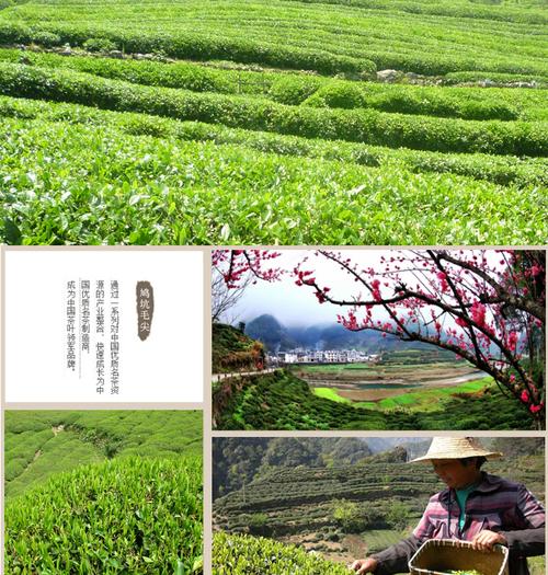 千岛湖鸠坑茶叶红茶125g2礼盒装