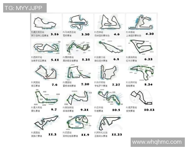 F1赛季赛道适应策略及车队表现评析