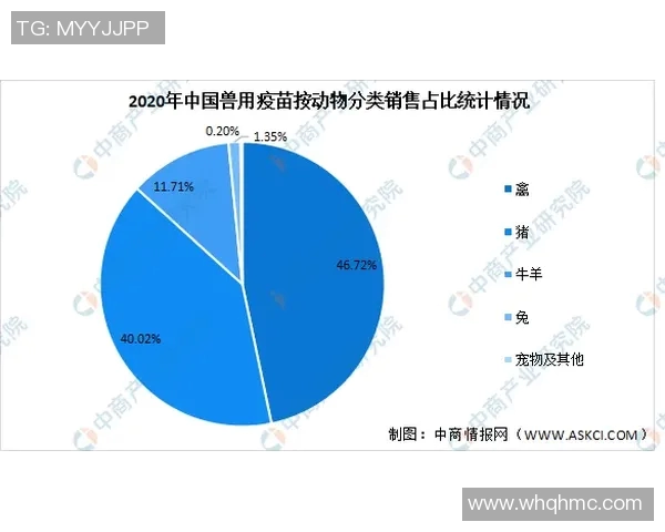 足球胜负预测数据模型及应用案例